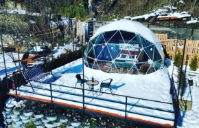 Aura glamping borjomi